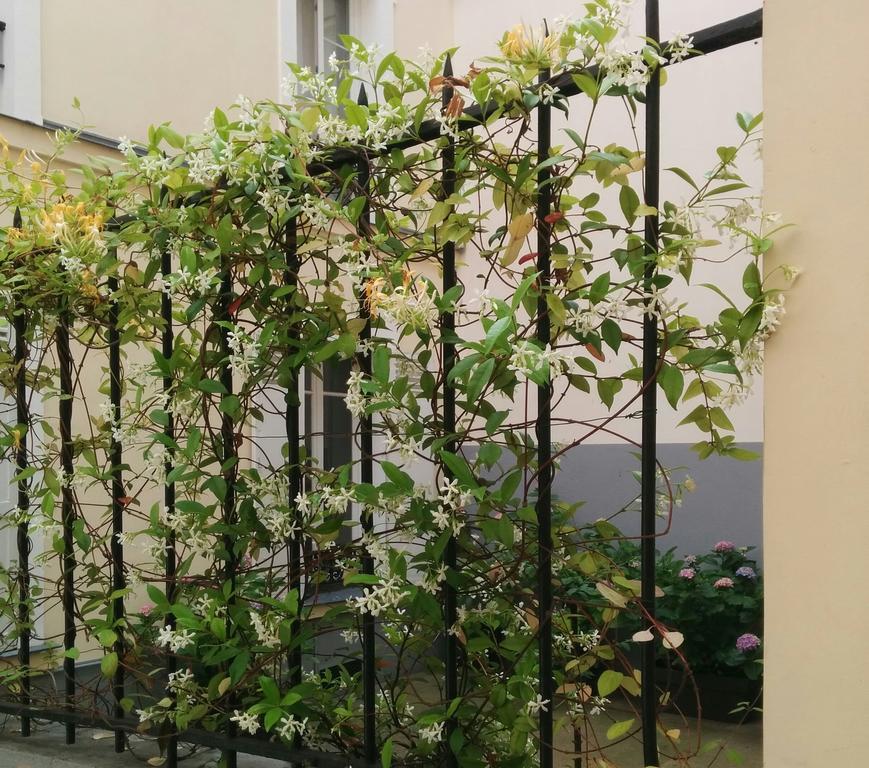 La Cour Du 5Eme - Chambre D'Hotes ปารีส ภายนอก รูปภาพ
