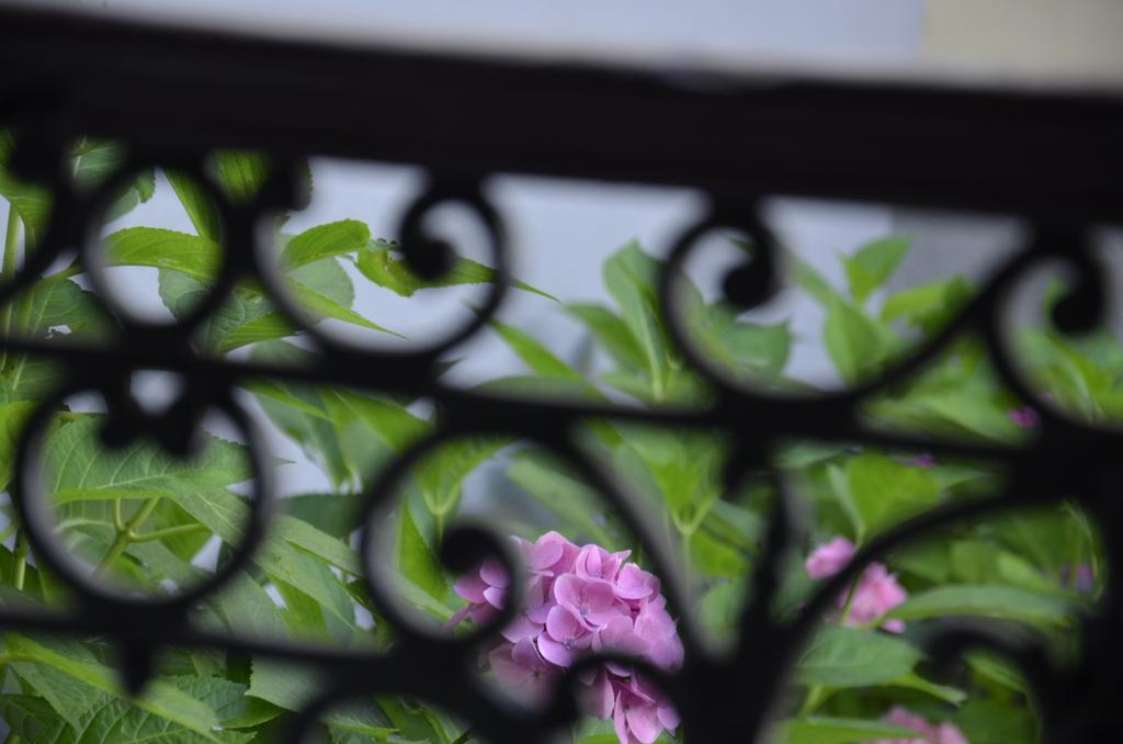 La Cour Du 5Eme - Chambre D'Hotes ปารีส ภายนอก รูปภาพ